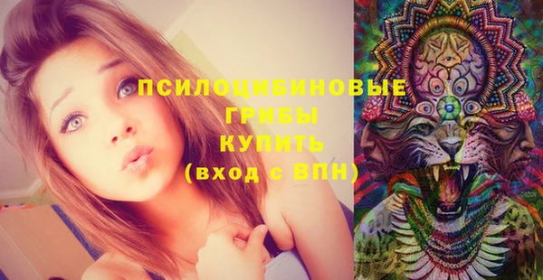 марки lsd Билибино