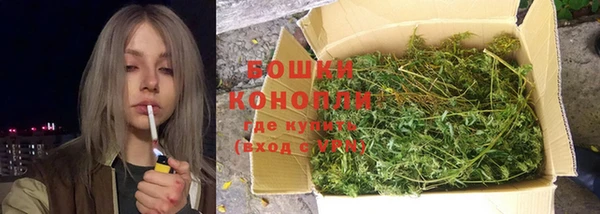 каннабис Аркадак