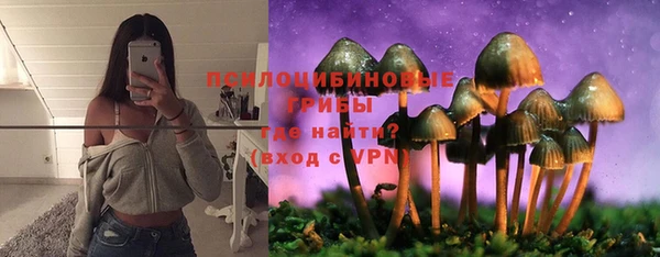 spice Армянск
